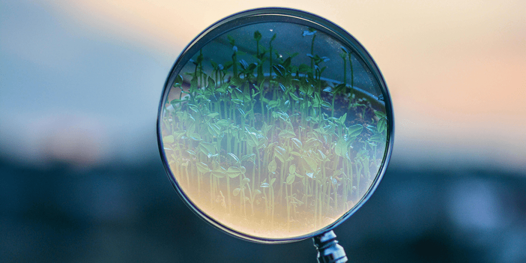 Lifecycle Email Campaigns: Nurturing Customers from Prospect to Promoter 4